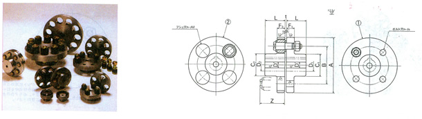 CL(FC200)ESCLiS35Cj