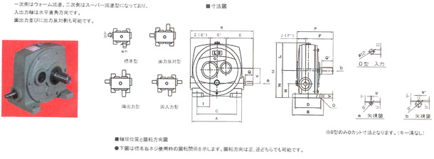 LD^@EH[Xp[p^